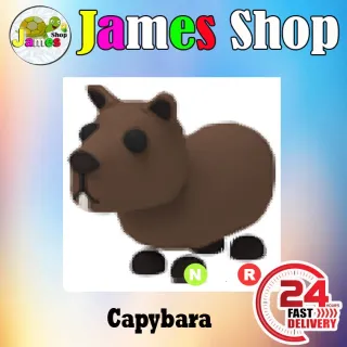 NR Capybara