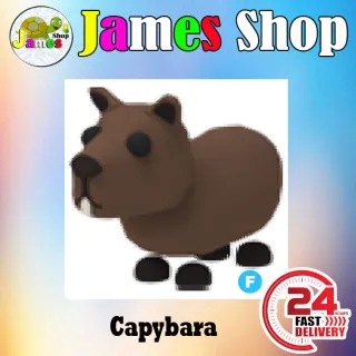 Fly Capybara