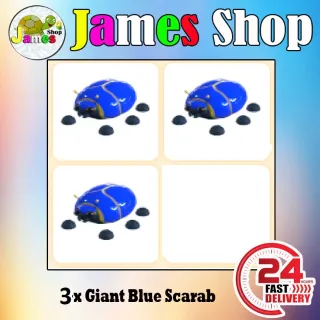 3x Giant Blue Scarab
