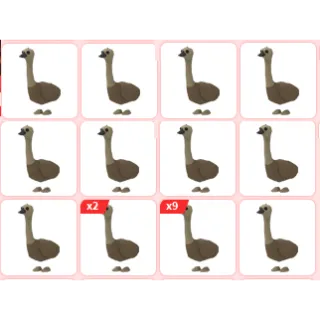 26x Emu