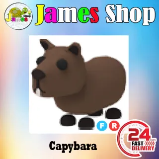 Fr Capybara