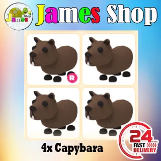 4x Capybara