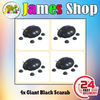 4x Giant Black Scarab