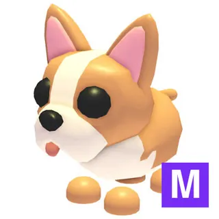 Mega French Bulldog