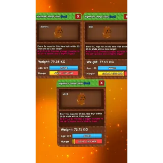 Grow a garden - NIGHTMARE TITANIC ORANGE TABBY (BUNDLE OF 3)