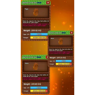 Grow a garden - NIGHTMARE COLOSSAL ORANGE TABBY (BUNDLE OF 3)