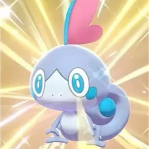 Shiny✨Sobble Pokemon
