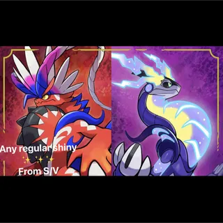 any✨Shiny S/V