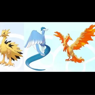 shiny✨Galarian birds set events