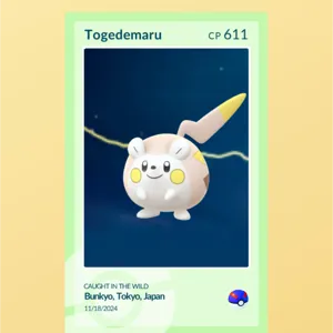 shiny pogo Togedemaru