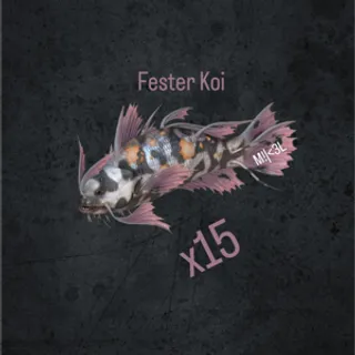 Fester Koi
