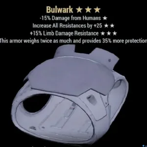 Bulwark