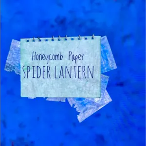 Honeycomb  Paper Spider