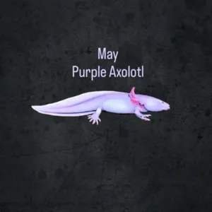 Purple Axolotl