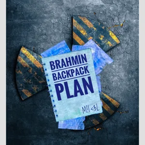 Brahmin Backpack Plan