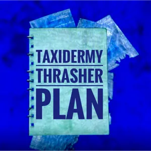 Taxidermy Thrasher Plan