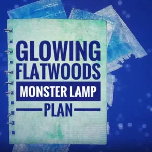 Glowing Flatwoods Lamp