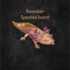Speckled Axolotl