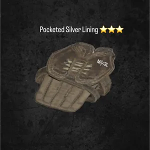 Pocketed Silver Lining