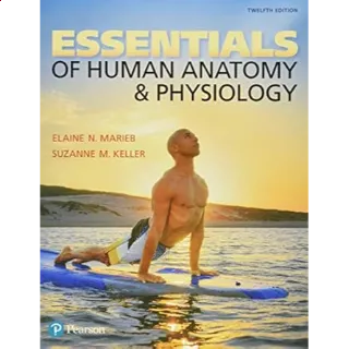 Essentials of Human Anatomy & Physiology 12th Edition