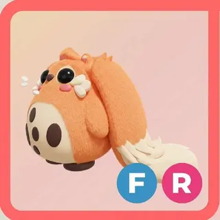 Cabbit FR