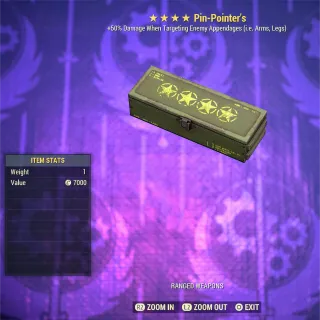 Pin-Pointer Mod Box 