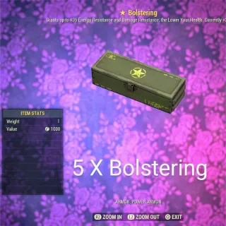 5 x Bolstering Mod Box 