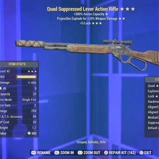 QE 3L Lever Rifle 