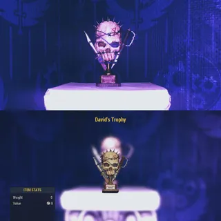 David Trophy DISPLAYABLE MISC 