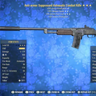 AA2535 Combat Rifle CR 