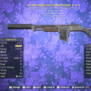 TS FFR FR Combat Shotgun 