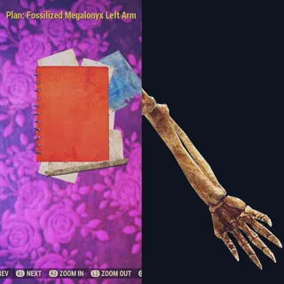 Fossilized Megalonyx Left Arm 