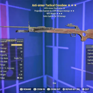 AAE RW Crossbow 