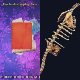 Fossilized Megalonyx Torso 