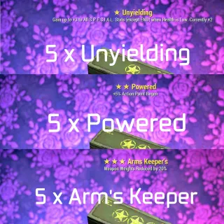 5 x Unyielding Powered WWR Mod Box 