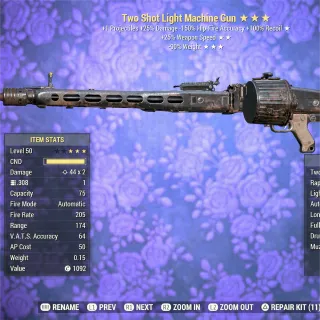 Two-Shot FFR RW Light Machine Gun 