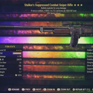 Weapon | StalE FR Combat Rifle 