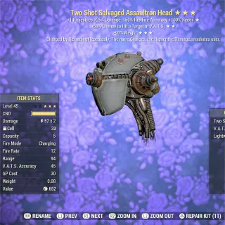 TS VHC RW Assaultron Head 