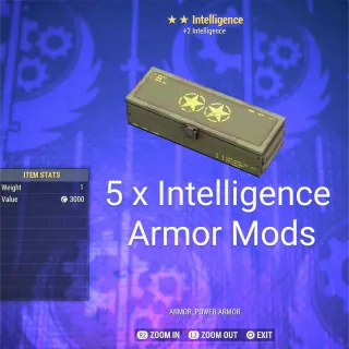 5 x Intelligence Armor Mod 