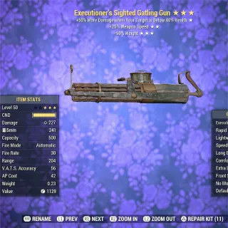 Executioner FFR RW Gatling Gun 