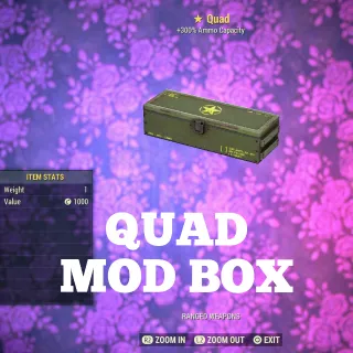 Quad Mod Box 