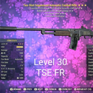 Level 30 TSE FR Combat Rifle CR 