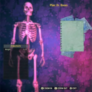 Plan: Dr. Bones 