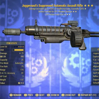 JugE25 Assault Rifle AR 