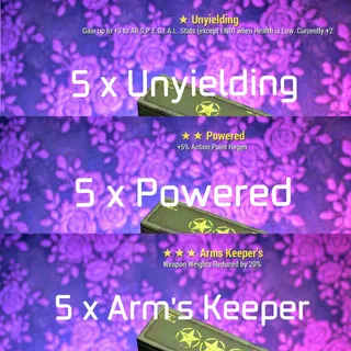 5 x Unyielding Powered WWR Mod Box 