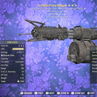TS Bashing RW Minigun 