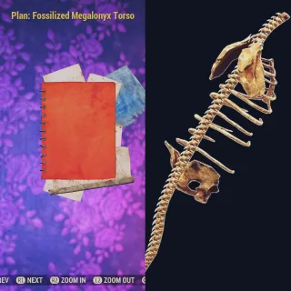 Fossilized Megalonyx Torso 