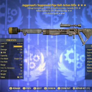 JugE FR Pipe Bolt-Action Rifle 