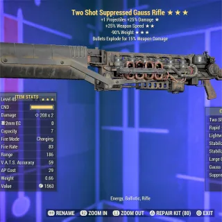 TS FFR RW Gauss Rifle 