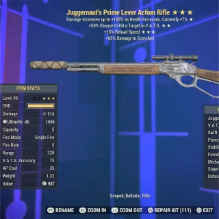 Juggernaut VHC FR Lever Rifle 